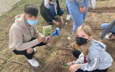 Los alumnos y alumnas de 5° de Primaria aprenden en el huerto escolar